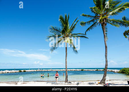 Floride, FL Sud, Upper Key Largo Florida Keys, Tavernier, Harry Harris Beach & Park, eau de l'océan Atlantique, piscine à marée, palmiers, adultes femme femmes Banque D'Images