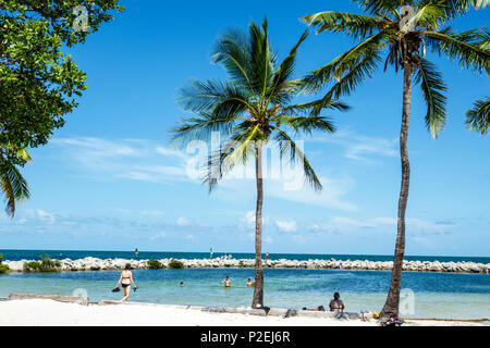 Floride, FL Sud, Upper Key Largo Florida Keys, Tavernier, Harry Harris Beach & Park, eau de l'océan Atlantique, piscine à marée, palmiers, adultes femme femmes Banque D'Images