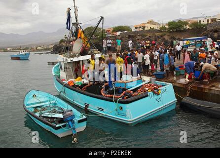 Cap Vert, Santo Antao, Porto Novo, les pêcheurs déchargeant leurs poissons dans le port de Porto Novo Banque D'Images