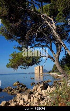 France, Alpes Maritimes, Cannes, Iles de Lérins, l'île Saint Honorat Pines sur une crique de l'île Saint Honorat, avec la tour fortifiée à l'arrière-plan Banque D'Images