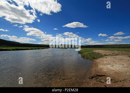 Gibbon qui traverse prés Gibbon dans le Parc National de Yellowstone dans le Wyoming United States Banque D'Images