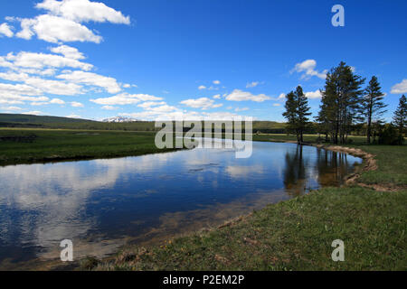 Gibbon qui traverse prés Gibbon dans le Parc National de Yellowstone dans le Wyoming United States Banque D'Images