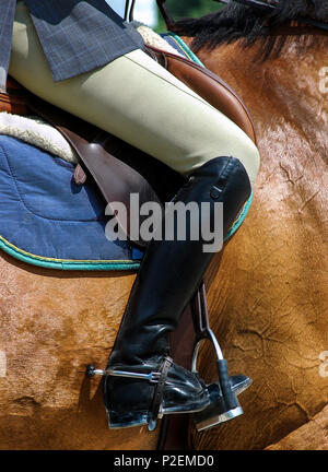 Equestrian femelle noire élégante avec des bottes d'équitation et des Épis Banque D'Images