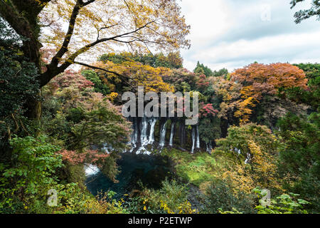 Point de vue au-dessus de chutes d'eau Shiraito en automne, Fujinomiya, Shizuoka Prefecture, Japan Banque D'Images