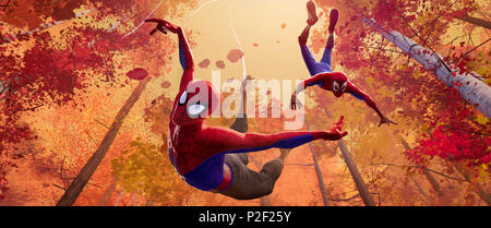 DATE DE SORTIE : Décembre 14, 2018 TITRE : Spider-Man : dans le studio : Spider-Verse Directeur Focus Features : Bob Persichetti, Peter Ramsey PLOT : Spider-Man traverse les dimensions parallèles et fait équipe avec l'Spider-Men de ces dimensions d'arrêter une menace pour toute la réalité. Avec : Shameik Moore comme Miles Morales/Spider-Man (voix). (Crédit Image : © Columbia Pictures/photos) Banque D'Images
