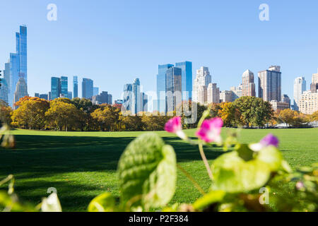 L'automne dans Central Park, les moutons pré, Skyline, Manhattan, New York City, USA, Amérique Latine Banque D'Images