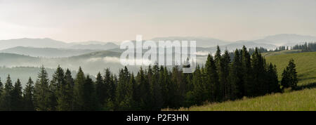 Morning Mist entre les chaînes de montagnes des Carpates. Banque D'Images