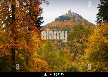 Le château de Trifels, près de Annweiler, parc naturel de la Forêt du Palatinat, Rhénanie-Palatinat, Allemagne Banque D'Images