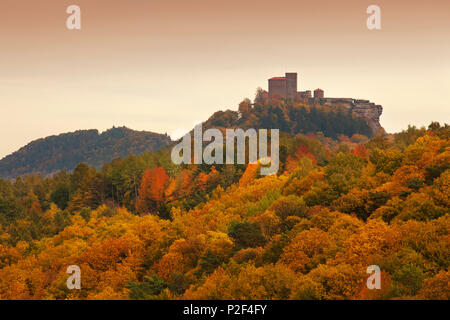 Le château de Trifels, près de Annweiler, parc naturel de la Forêt du Palatinat, Rhénanie-Palatinat, Allemagne Banque D'Images