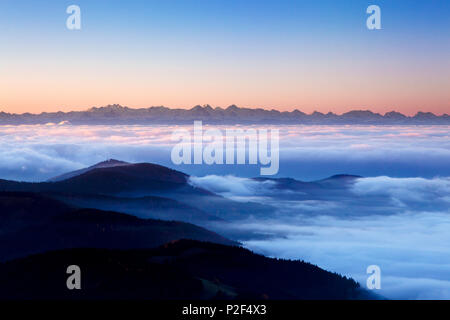 Vue depuis le Belchen le brouillard vers les Alpes avec Eiger, Moench et Jungfrau, Forêt-Noire, Bade-Wurtemberg, Allemagne Banque D'Images