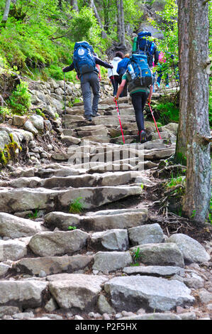 Montée vers le prektestolen ou pupitre en Norvège Banque D'Images