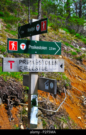 Montée vers le prektestolen ou pupitre en Norvège Banque D'Images