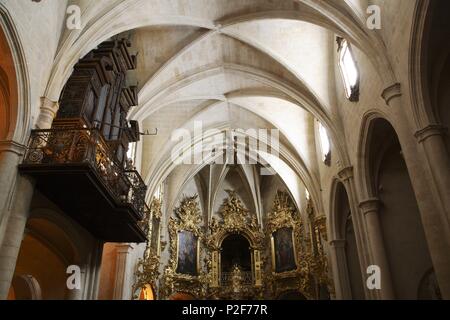 Espagne - région autonome de Valence - L'ALACANTÍ (district) - Alicante. Alicante (capitale) ; Eglise de Santa María (gótica) es la más antigua de la ciudad, nef, l'autel central mayor y órgano barroco. Banque D'Images