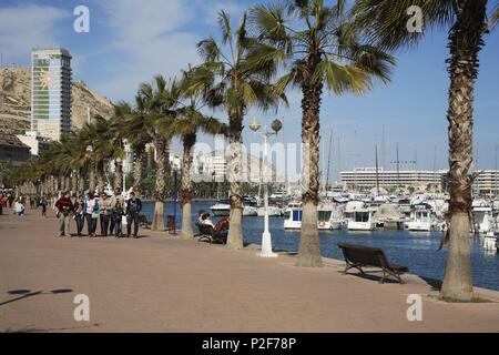 Espagne - région autonome de Valence - L'ALACANTÍ (district) - Alicante. Alicante (capitale) ; paseo marítimo junto al porto. Banque D'Images