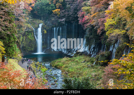 Chutes d'eau Shiraito de dessus avec les touristes en automne, Fujinomiya, Shizuoka Prefecture, Japan Banque D'Images