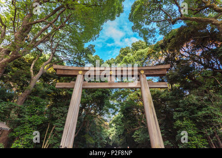 Ichi-no-Torii du sanctuaire de Meiji, Shibuya, Tokyo, Japon Banque D'Images