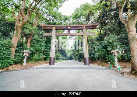 Ichi-no-Torii du sanctuaire de Meiji, Shibuya, Tokyo, Japon Banque D'Images