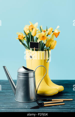 Vue rapprochée de bouquet de fleurs jaune et vide tableau noir dans des bottes en caoutchouc avec arrosoir et outils de jardinage sur surface en bois sur bleu Banque D'Images