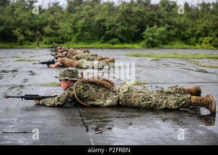 Les marins de la marine américaine avec Mobile Naval Construction Battalion 11 et des Marines avec Marine Air Control Squadron 4, forment une ligne de mêlée d'un aérodrome à la saisie au cours de l'exercice Valiant Shield 16 Sur Tinos, le 20 septembre 2016. Les marins et soldats ont agi comme des forces opposées aux Marines avec 3e Bataillon, 3e Régiment de Marines, qui a saisi l'île au cours de l'exercice après qu'ils ont été transportés par plusieurs MV-22B Balbuzard pêcheur. Valiant Shield est une biennale, U.S. Air Force, la Marine et le Marine Corps se tiendra à Guam, en mettant l'accent sur des compétences dans le maintien de forces conjointes en mer, dans les airs, sur terre Banque D'Images