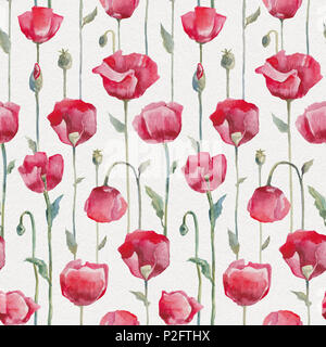 Coquelicots rouges sur fond blanc. L'aquarelle transparente motif floral. Fleurs à la main Banque D'Images