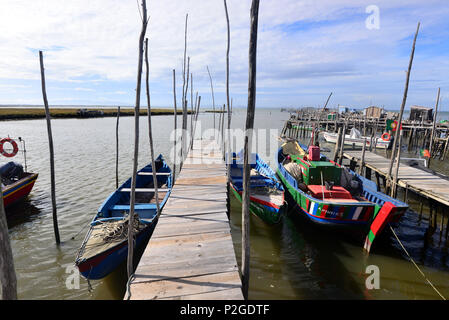 Carrasqueira près d'Alcacer do Sal, Costa Dourada, Alentejo, Portugal Banque D'Images