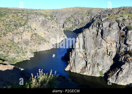 Douroschlucht près de Miranda do Douro, Parque Natural do Duoro International, Tras-os-Montes, Northeast-Portugal, Portugal Banque D'Images