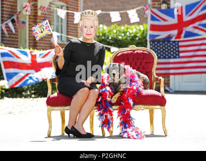 Première partie de la rue en levrette ! Comme le public s'apprête à jeter les parties de rue partout en Grande-Bretagne dans la célébration de ce week-end du mariage royal entre le Prince Harry et actrice Américaine Meghan Markle, aliments pour animaux de compagnie Freshpet américain a jeté un chien bash, en vous assurant le meilleur ami de l'homme n'hésitez pas à profiter des célébrations royal. À l'aide d'oeil-a-aime des chiens de secours bien-aimé de Meghan Guy le Beagle et Bogart, un Labrador-Shepherd cross, plus un invité spécial (Corgi-Dachshund Dorgi un croisement comme appartenant à la Reine), Freshpet britanniques/américaines a tenu une fête de rue à thème dans un residentia Banque D'Images