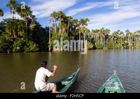 Bateau de tourisme et Mauriti Palmiers, Buriti, palmiers Moriche, au Lac Sandoval, Mauritia flexuosa, Réserve nationale de Tambopata, par Banque D'Images