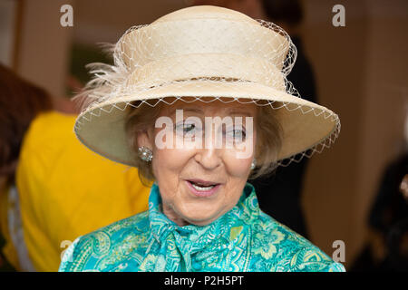 Son Altesse Royale la princesse Alexandra visiter Le Royal Star & Garter Accueil, Solihull, West Midlands. Banque D'Images