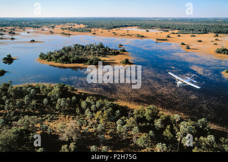 Safari vol, Okavango-Delta, Botswana, Africa Banque D'Images