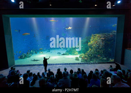 Den Bla Planet, Blue Planet Aquarium, Copenhague, Danemark Banque D'Images