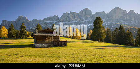 Automne Alm en face de la montagne de Rosengarten avec cabane, Koelbleggiesen, près de Nigerpass, Alto Adige, le Tyrol du Sud, Dolo Banque D'Images