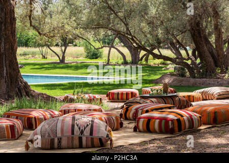 Kilim meubles pouffs dispersés parmi les oliviers dans jardin avec piscine Banque D'Images