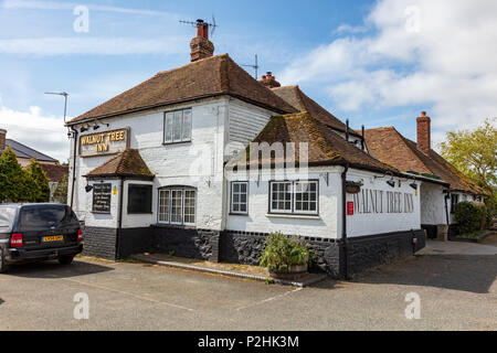 Le noyer dans un pub Shepherd Neame Aldington, Kent, UK. La réputation de la maison Aldington gang un groupe de passeurs 19C Banque D'Images