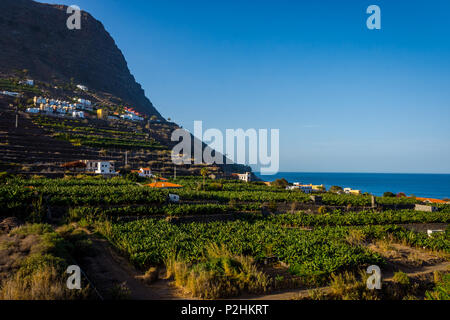 Baie de Santa Catalina avec des plantations de bananes, la Gomera, Canary Islands Banque D'Images