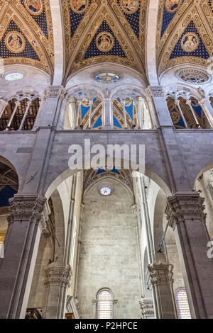 Lucca, Toscane, Italie. Plafonds peints et voltige dans l'intérieur de 14c le Duomo (cathédrale), connu sous le nom de Cattedrale di San Martino Banque D'Images