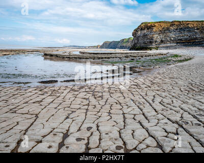 La plate-forme de coupe vague lias jurassique strates de calcaire dans le chenal de Bristol à Blue Ben falaise près de East Quantoxhead UK Somerset Banque D'Images