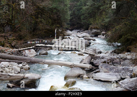 Pont cantilever traditionnel sur la rivière, les bois, Langtang, Népal Banque D'Images