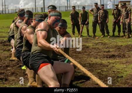 Remorqueur marines contre leur adversaire durant le camp Hansen Highland Games à Okinawa, Japon, 30 septembre 2016. L'événement écossais mixte et la culture celtique avec la concurrence entre les unités de soutien sur Camp Hansen. Les participants des jeux a participé à mettre en pierre, lancer de la gerbe, et d'autres essais de force. Les marines sont à 3e Bataillon, de l'application de la Loi III Marine Expeditionary Force, Groupe Siège III MEF. (U.S. Marine Corps photo par le Cpl. Steven Tran/libérés) Banque D'Images