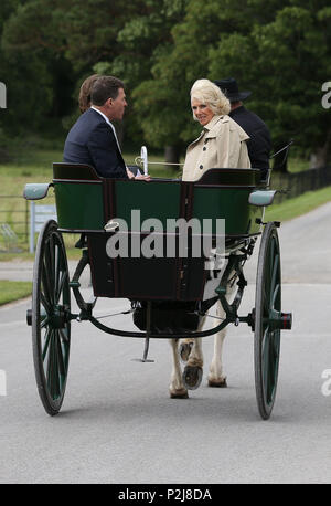 La duchesse de Cornouailles balade en voiture jaunting car elle arrive pour une visite de Muckross House en Co Kerry, dans le cadre de sa tournée de la République de l'Irlande avec le Prince de Galles. Banque D'Images