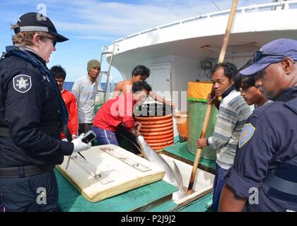 Lydia Woodhouse, un agent de l'Autorité de gestion des pêches (à gauche), et Jim, un Kloulechad Palau Agent de la Police nationale, d'observer l'équipage du palangrier Fure Chyun No.12 comme ils afficher les captures dans le réservoir de saumure pour les membres de l'équipe d'embarquement lors d'un arraisonnement de la pêche dans la zone économique exclusive de Palau, 5 septembre 2016. L'embarquement a été réalisée en vertu d'une garde côtière des États-Unis et les Palaos accord bilatéral avec le soutien de Forces maritimes Pacifique et de l'Australian Fisheries Management Authority. (U.S. Photo de la Garde côtière canadienne par le Premier maître de Sara Mooers) Banque D'Images