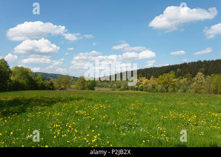 Vallée de la Loisach au printemps près de Beuerberg, Eurasburg, Landkreis Bad Toelz - Wolfratshausen, Haute-Bavière, Bavière, Allemagne, Europ Banque D'Images