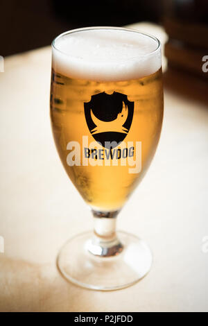 Verre de Brewdog Punk IPA servi dans le DogTap, Ellon, Aberdeenshire, Scotland, UK Banque D'Images