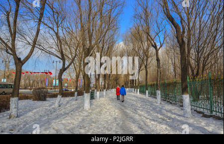 Harbin, Chine - Feb 22, 2018. Les gens qui marchent au Winter Park à Harbin, Chine. Harbin est plus grande ville dans la région nord-est de la Chine. Banque D'Images