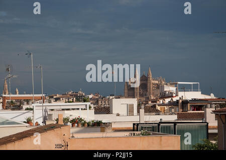 PALMA DE MAJORQUE, ESPAGNE - 15 NOVEMBRE 2011 : vue sur le toit vers la cathédrale La Seu à Santa Catalina le 15 novembre 2011 à Palma de Majorque, S Banque D'Images