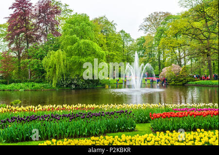 Vue sur jardin de Keukenhof, aussi connu comme le jardin de l'Europe, aux Pays-Bas. Banque D'Images