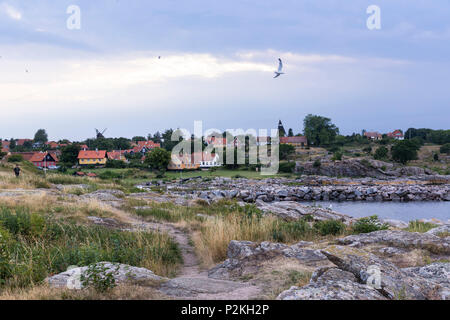 Sea Gull flying sur la baie, plage de rochers, mer Baltique, Bornholm, Danemark, Europe, Allinge Banque D'Images