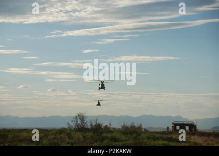 CH47 Chinook de la Compagnie Bravo, 2e Bataillon, 501e Régiment d'aviation se préparer pour aller chercher les soldats affectés au 1er Bataillon, 6e Régiment d'infanterie, dans le cadre d'une attaque aérienne menée au cours d'un exercice combiné Live-Fire à Fort Bliss, le 29 septembre. Banque D'Images