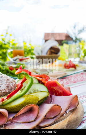 Brettljause, assiette froide traditionnelle avec de la viande, du fromage, du poisson, des légumes, du pain et des boissons sur la table en bois de vigne avec hut en Styrie, Autriche Banque D'Images