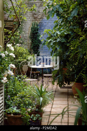 Des roses blanches et des pots d'herbes dans une cour pavée petit jardin avec table et chaises en métal devant paintedwall bleu Banque D'Images